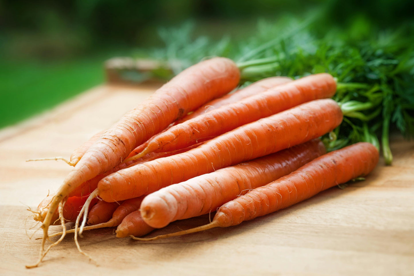 SEMI DI CAROTA RUBROVITAMINA