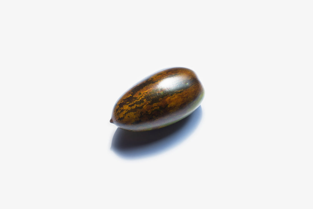 Guida alla Germinazione