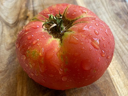 POMODORO BRANDYWINE SEMI 25 +