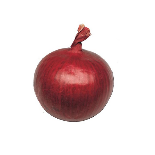 SEMI DI CIPOLLA DI TROPEA TONDA