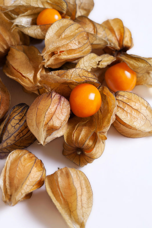 Semi di Alchechengi - Physalis alkekengi 40 +